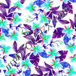 Colour:C