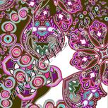 Colour:B
