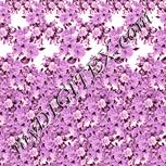 Colour:J