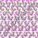 Colour:C
