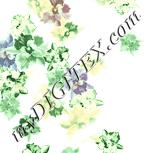 Colour:K