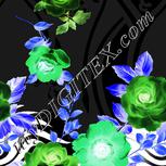 Colour:F