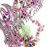 Colour:B