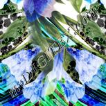 Colour:A