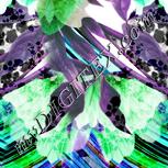 Colour:B