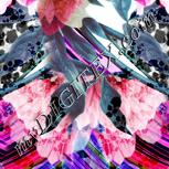Colour:C