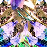 Colour:J