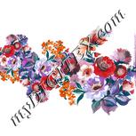 Colour:B