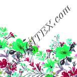Colour:C