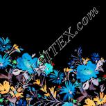 Colour:F