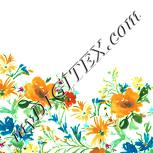 Colour:K