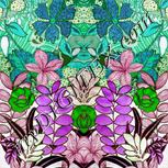 Colour:C