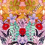Colour:J