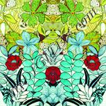 Colour:K