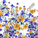 Colour:A