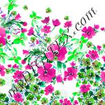 Colour:B