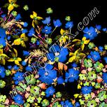 Colour:F