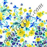 Colour:K