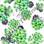 Colour:C