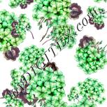Colour:D