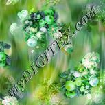 Colour:C