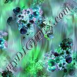 Colour:F