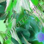Colour:B
