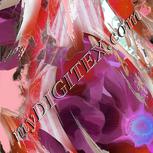 Colour:C
