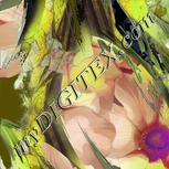 Colour:F