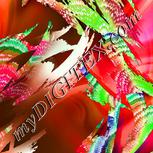 Colour:F