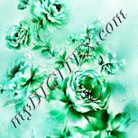 Colour:C