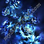 Colour:F