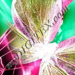 Colour:A