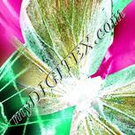 Colour:D