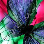 Colour:F