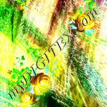 Colour:C