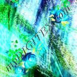 Colour:D