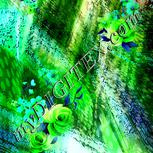 Colour:F