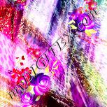 Colour:K