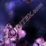 Colour:A