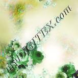 Colour:F