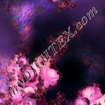 Colour:J