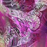 Colour:C