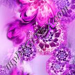 Colour:B