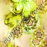Colour:D