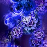 Colour:F