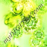 Colour:K