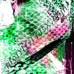 Colour:B