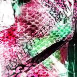 Colour:C