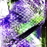 Colour:D